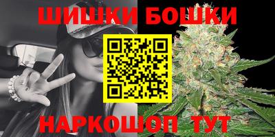 молекула духа Будённовск