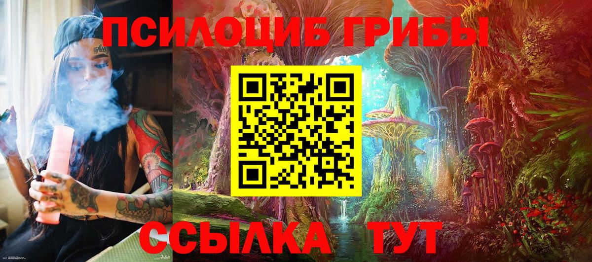 Псилоцибиновые грибы прущие грибы  Псилоцибиновые грибы мицелий  Киржач  Вход с VPN 
