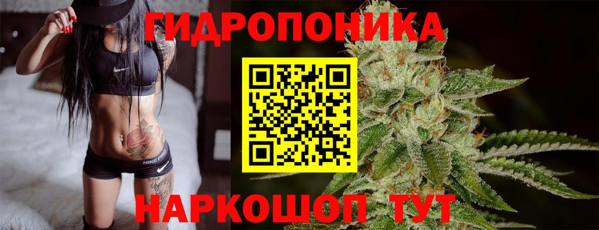 Шишки марихуана VHQ  Бошки Шишки THC 21%  Киржач  Марихуана LSD WEED  Вход с VPN  Каннабис сатива 